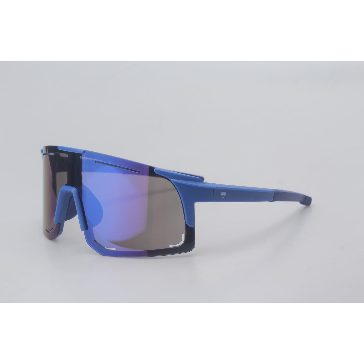 Bro Optics Sunglasses Blue